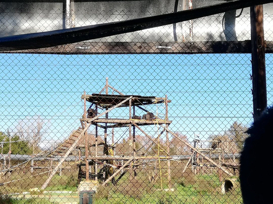 Fundació Mona, Centre de Recuperacio de Primats景点图片