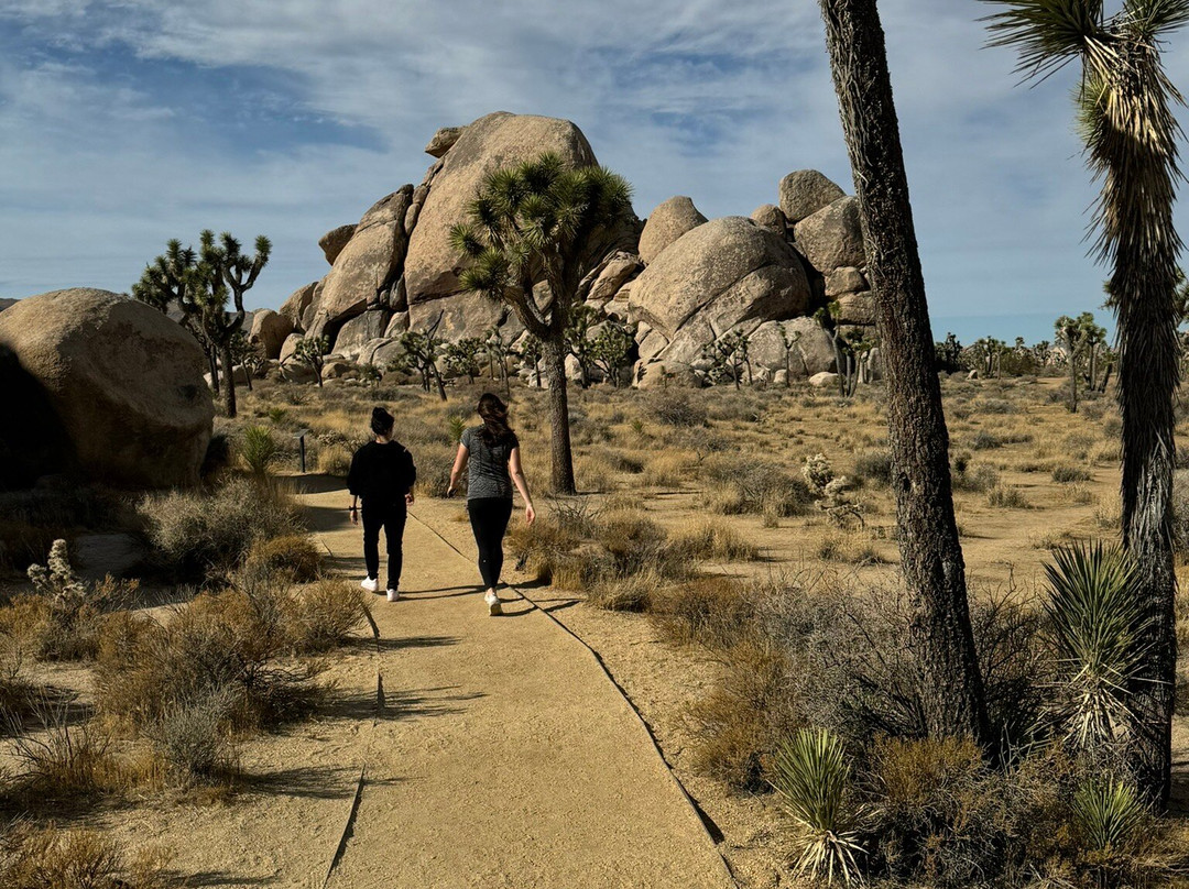 Cap Rock Trail-约书亚树国家公园必去景点