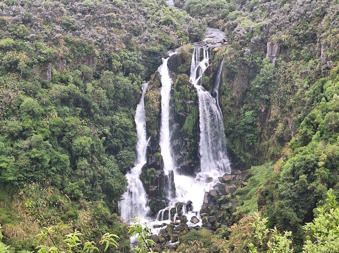 Waipunga Falls景点图片