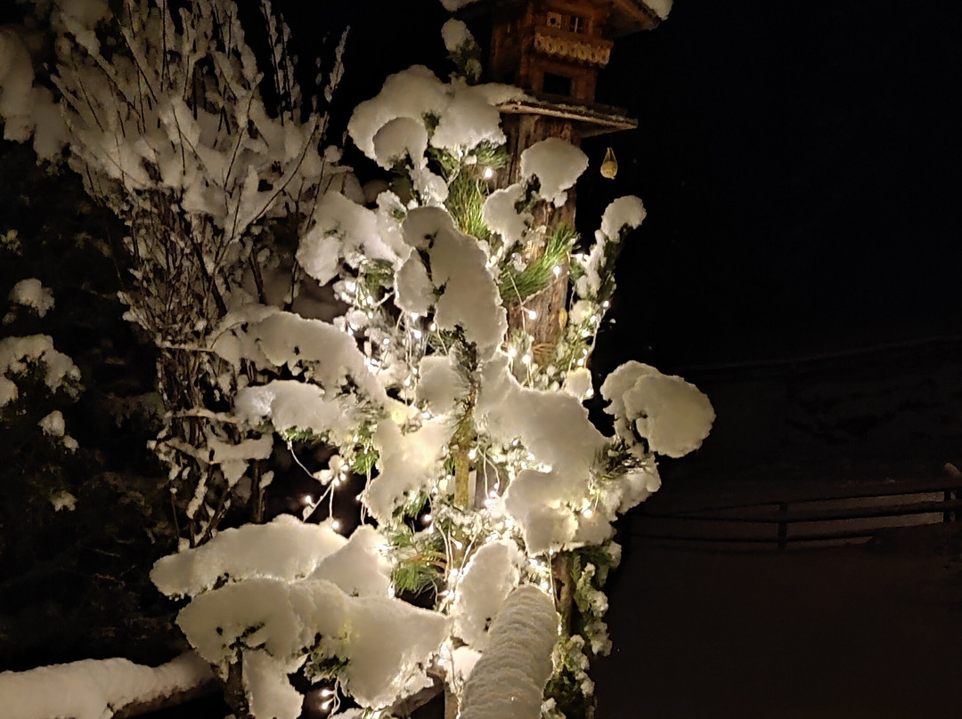 Pension Furhapter主图