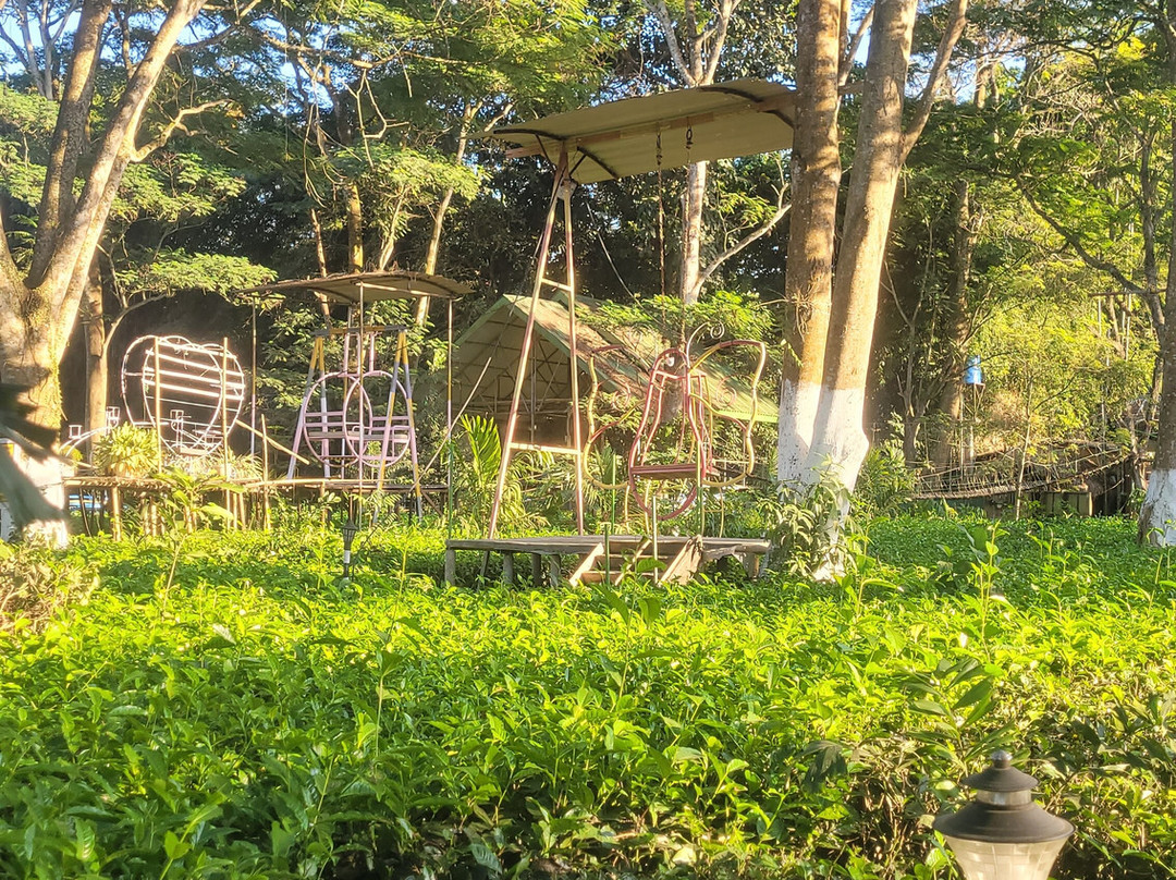 Blossom Exotica景点图片
