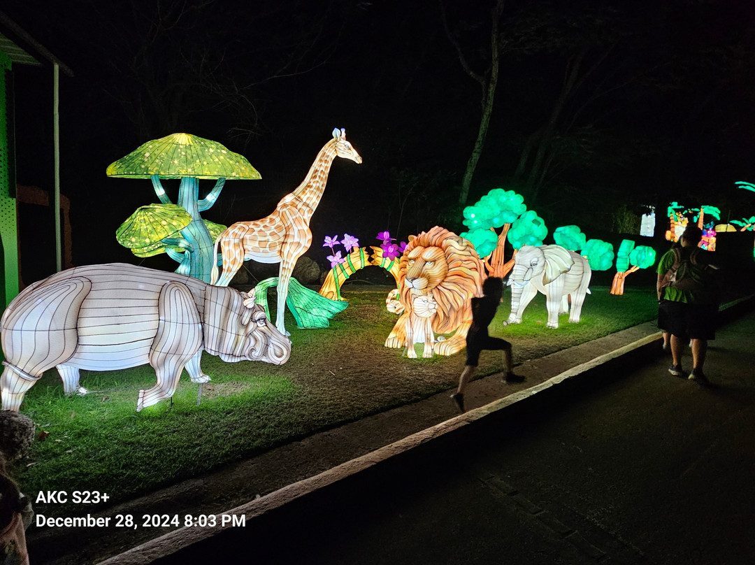 Parque De Las Ciencias By Toro Verde Power By Claro-Bayamon必去景点