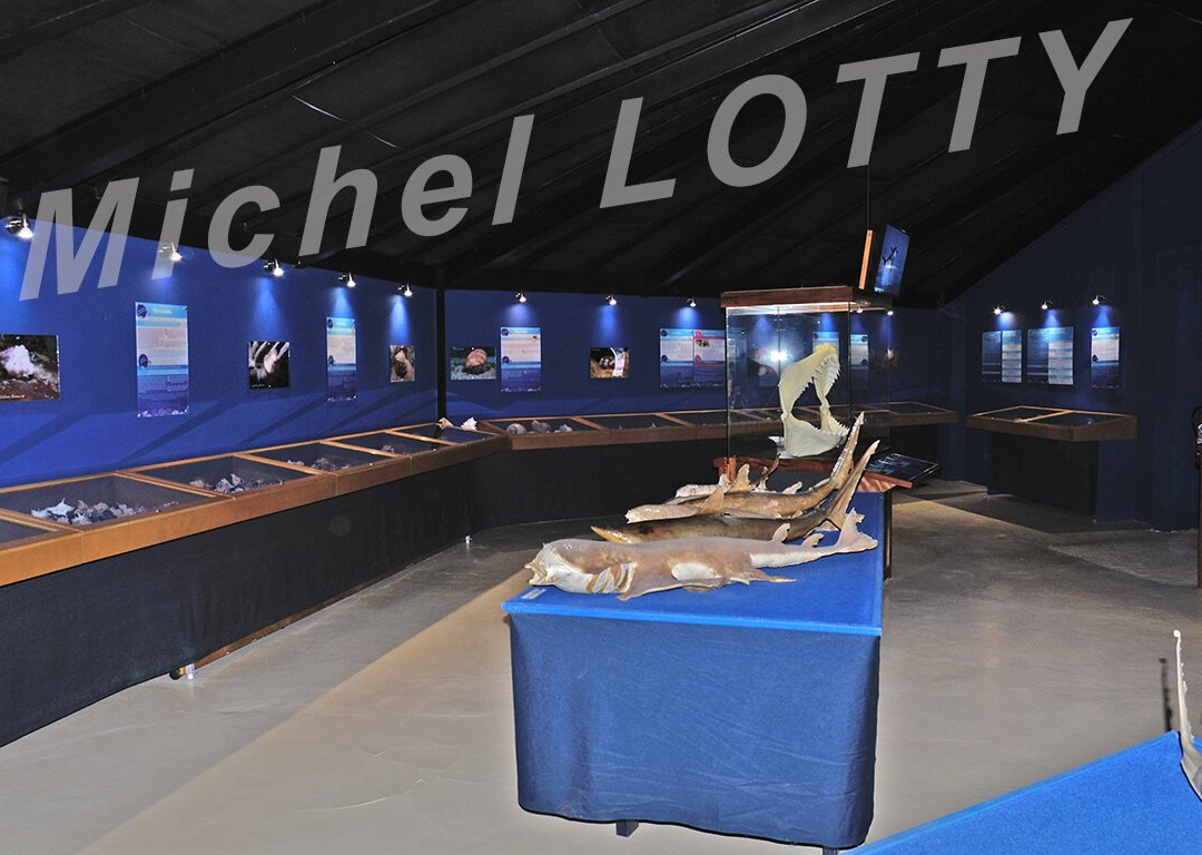 Le Musée de la Mer-Trois-Ilets必去景点