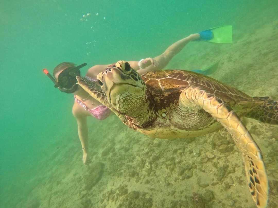 Mirissa Blue Whales And Turtle Snorkeling-Thalaramba必去景点