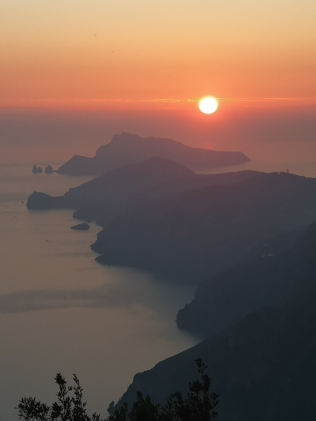 Hotel Gentile-官方