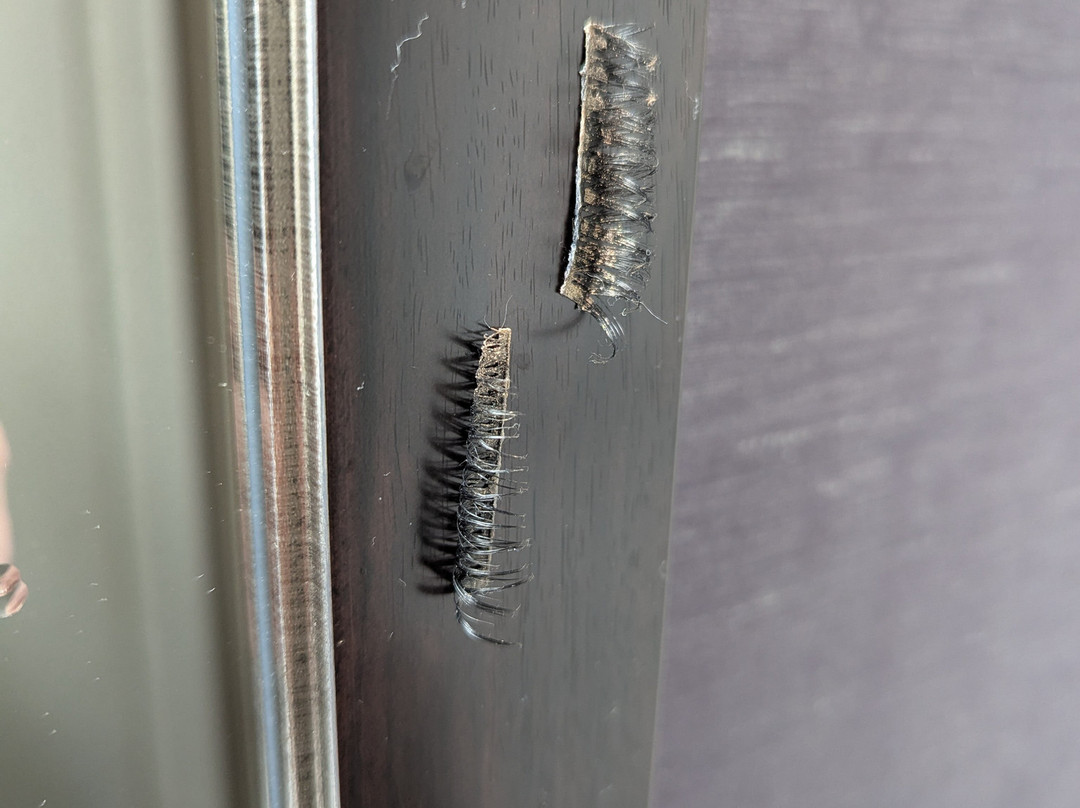 Embassy Suites by Hilton Santa Ana Orange County Airport主图