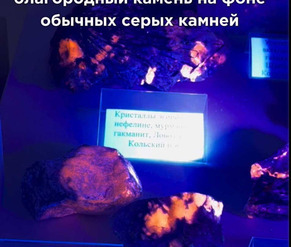 Museum of Stone and Minerals in Novorossiysk-Novorossiysk必去景点