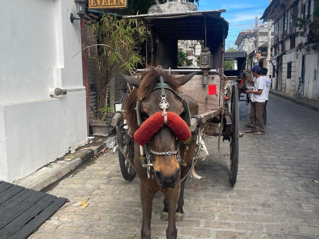La Casa Blanca De Vigan Hotel主图