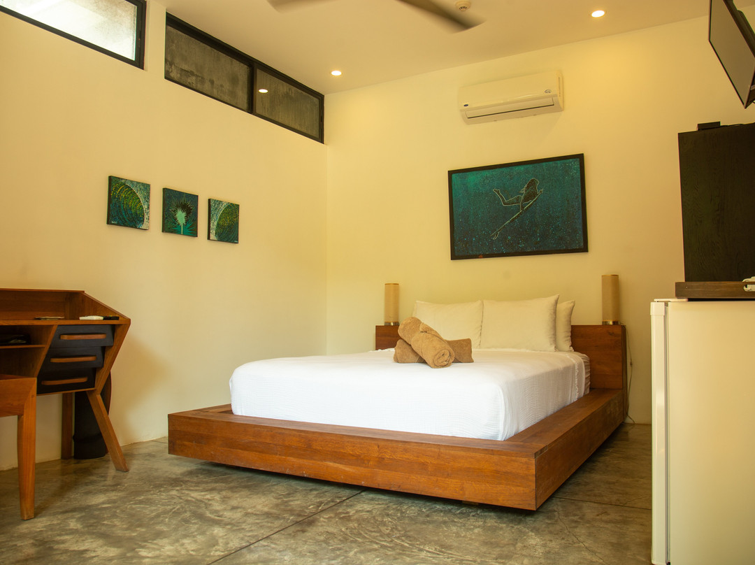 The White Palms Of Nosara