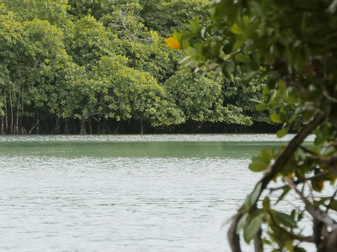 Kayak Evasion Martinique-Le Vauclin必去景点