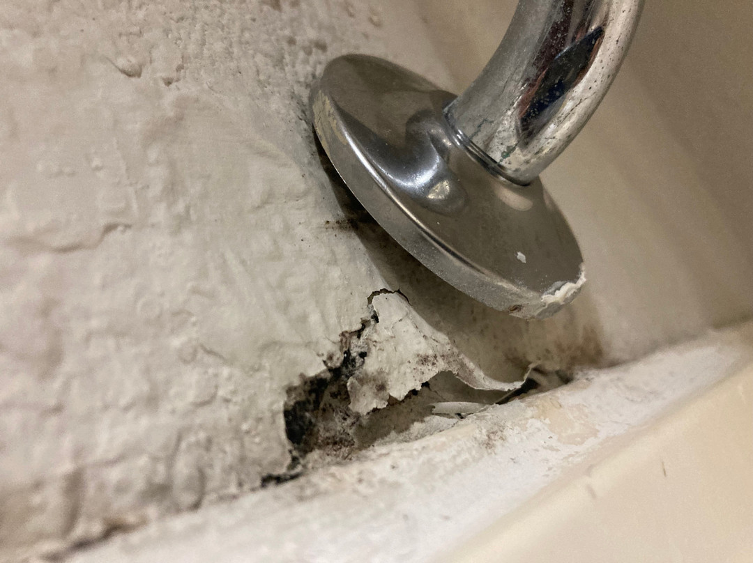 Best Western Inn & Suites - Lake Charles主图