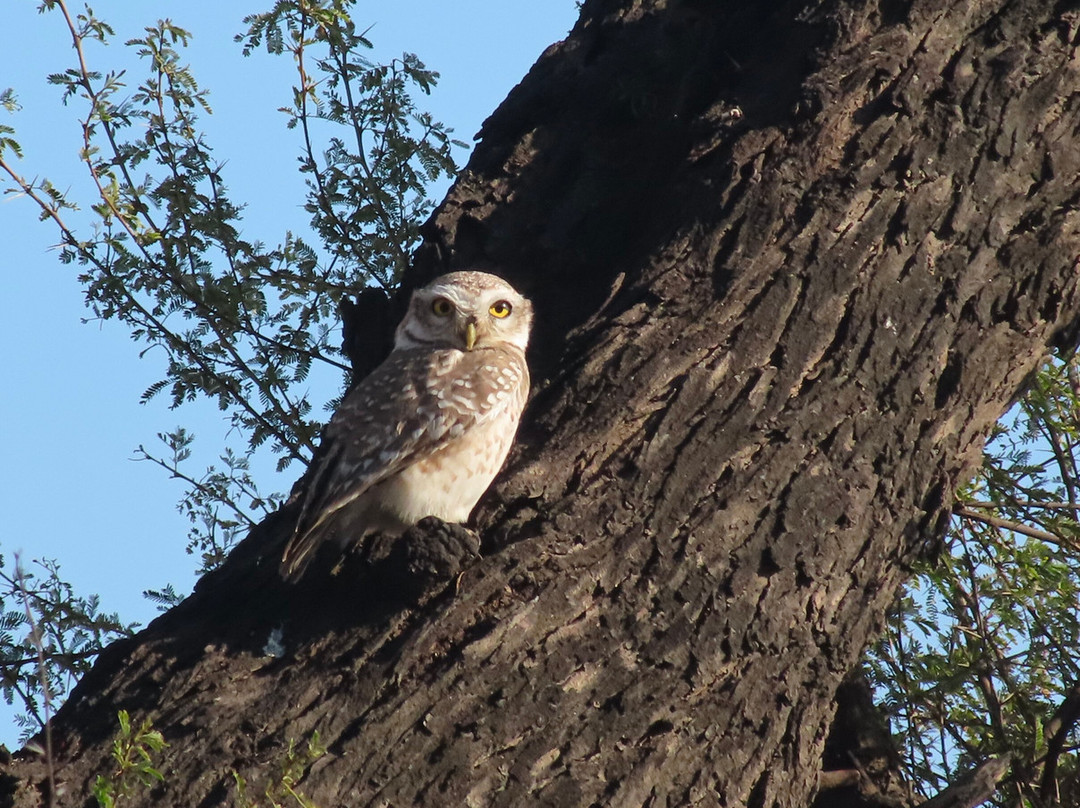 萨维斯塔度假村主图