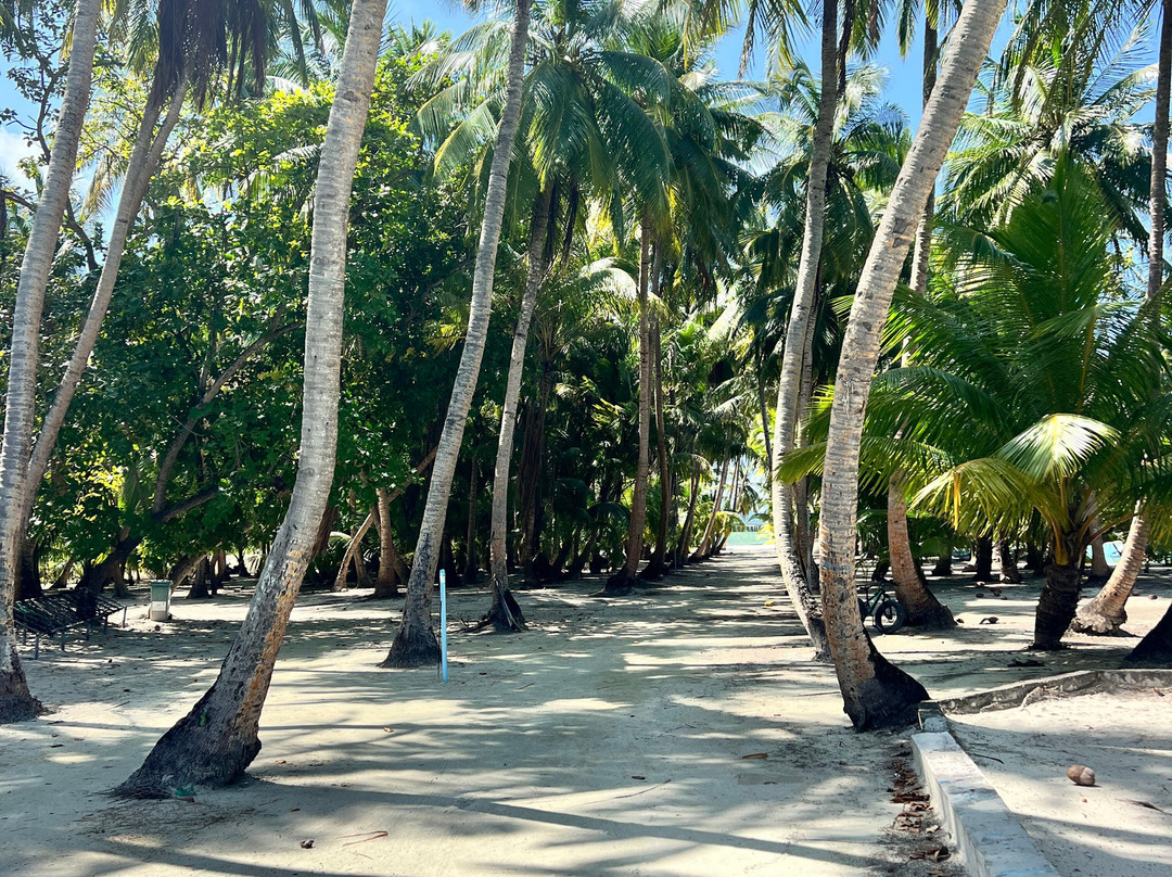 Island Life Maldives Retreat & Spa主图