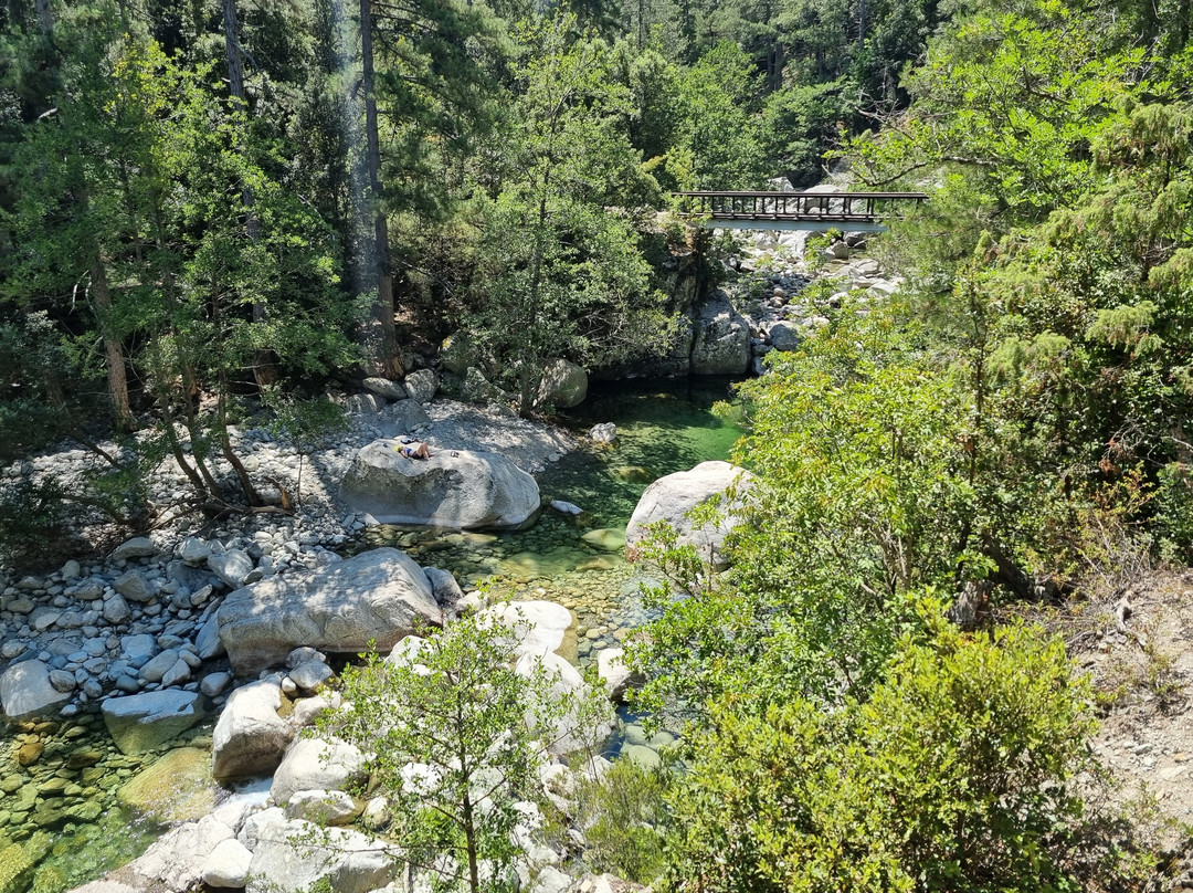 Gorges du Tavignano-Corte必去景点