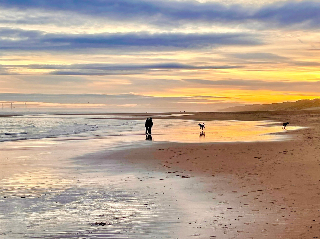 Newburgh Seals Beach-Newburgh必去景点