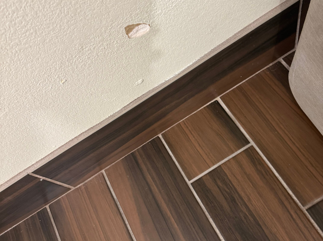 Microtel Inn & Suites by Wyndham Baton Rouge Airport主图