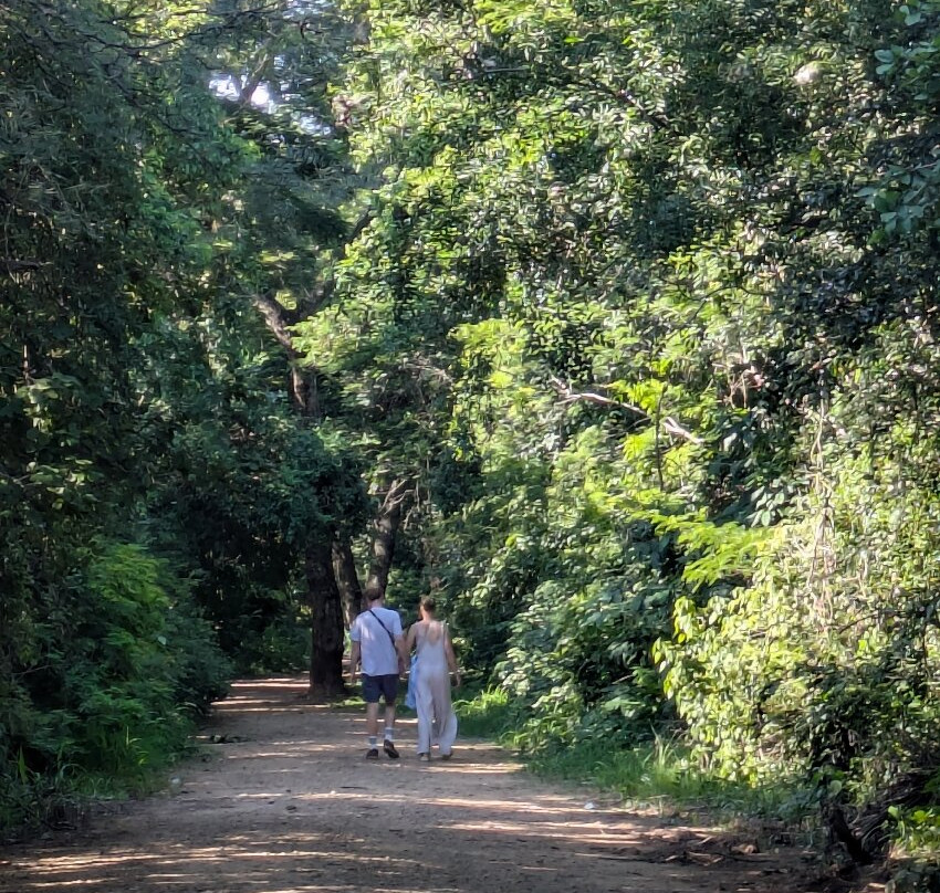 Jardin Botanico Santa Cruz景点图片