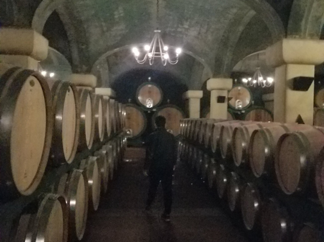 Caparzo Winery-蒙塔尔奇诺必去景点
