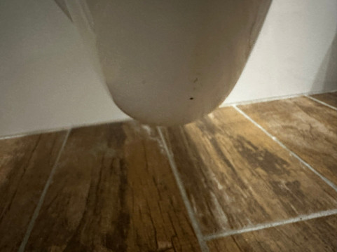 拉鲁奇酒店主图