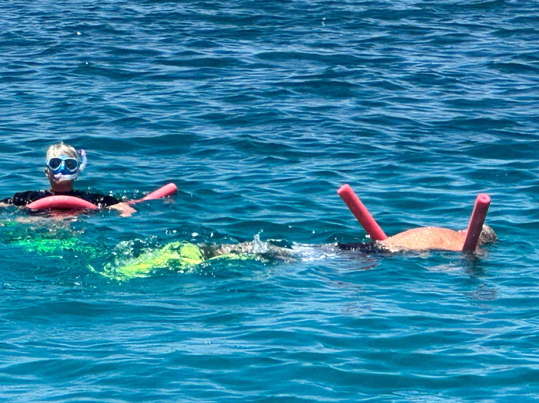 1770reef-1770镇必去景点