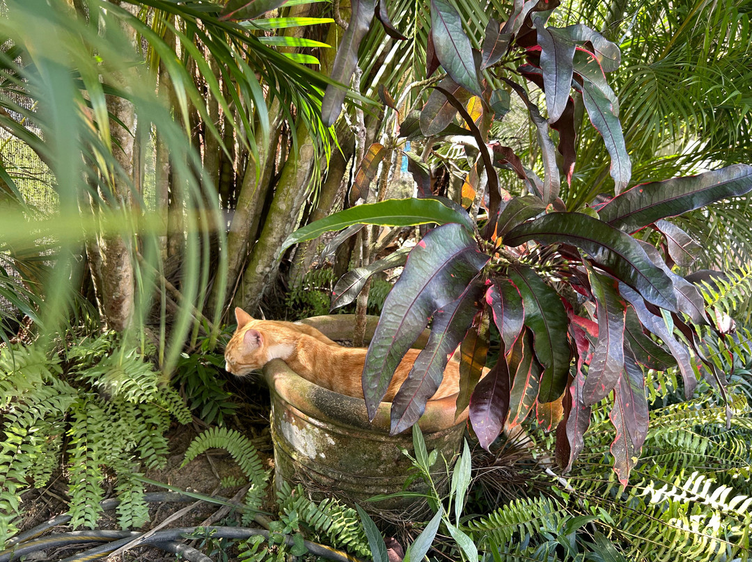 Villa Botero By Casa Mojito主图