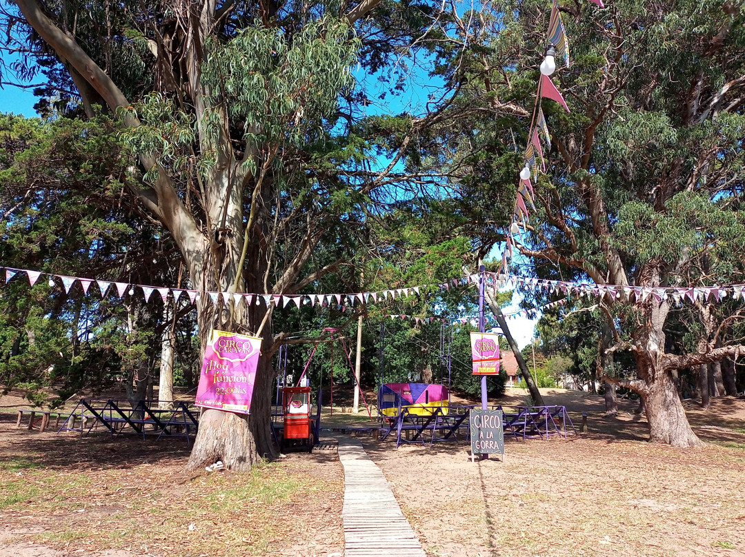 Plaza Del Bosque-San Bernardo必去景点
