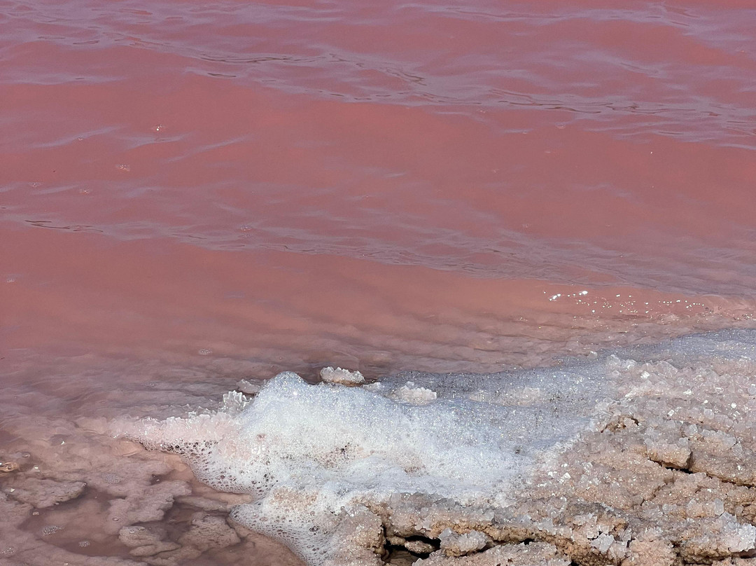 Pink Lake景点图片