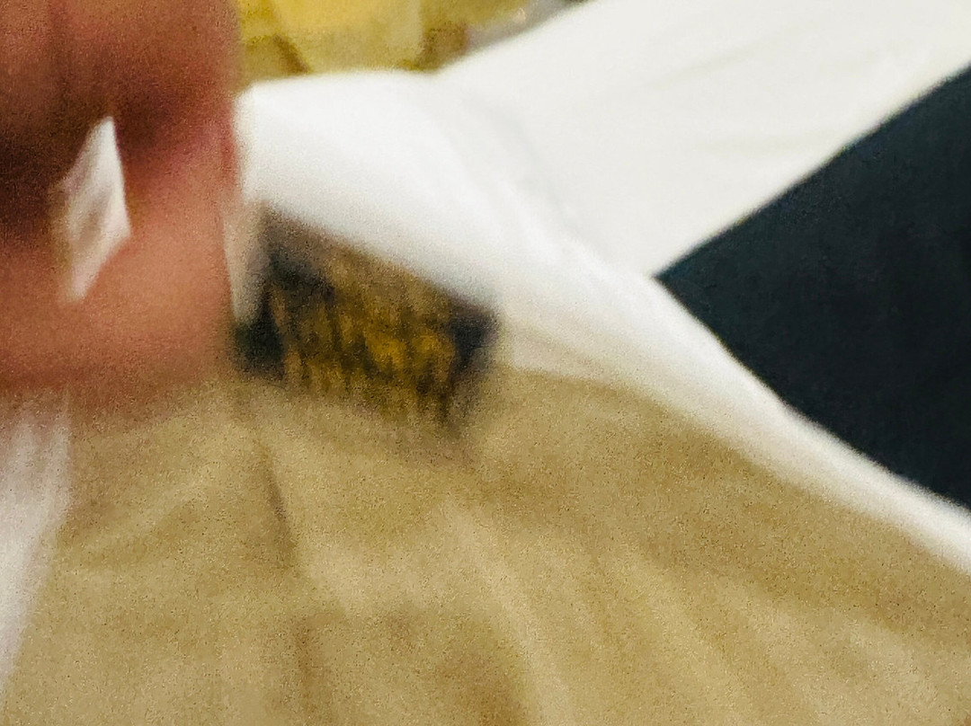 Taraji Resort Restaurant and Hotel主图