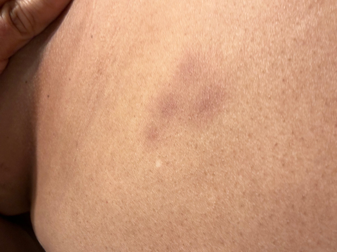 Best Western Plus Governor's Inn主图