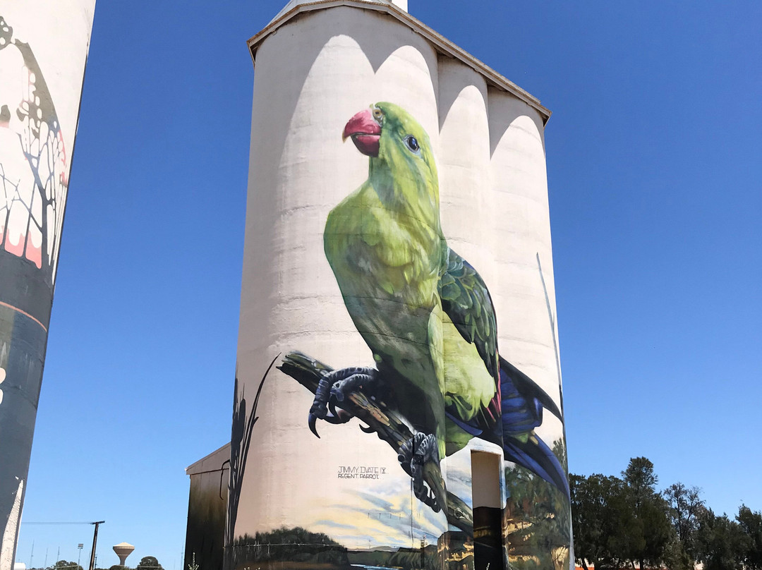 Waikerie Silo Art景点图片
