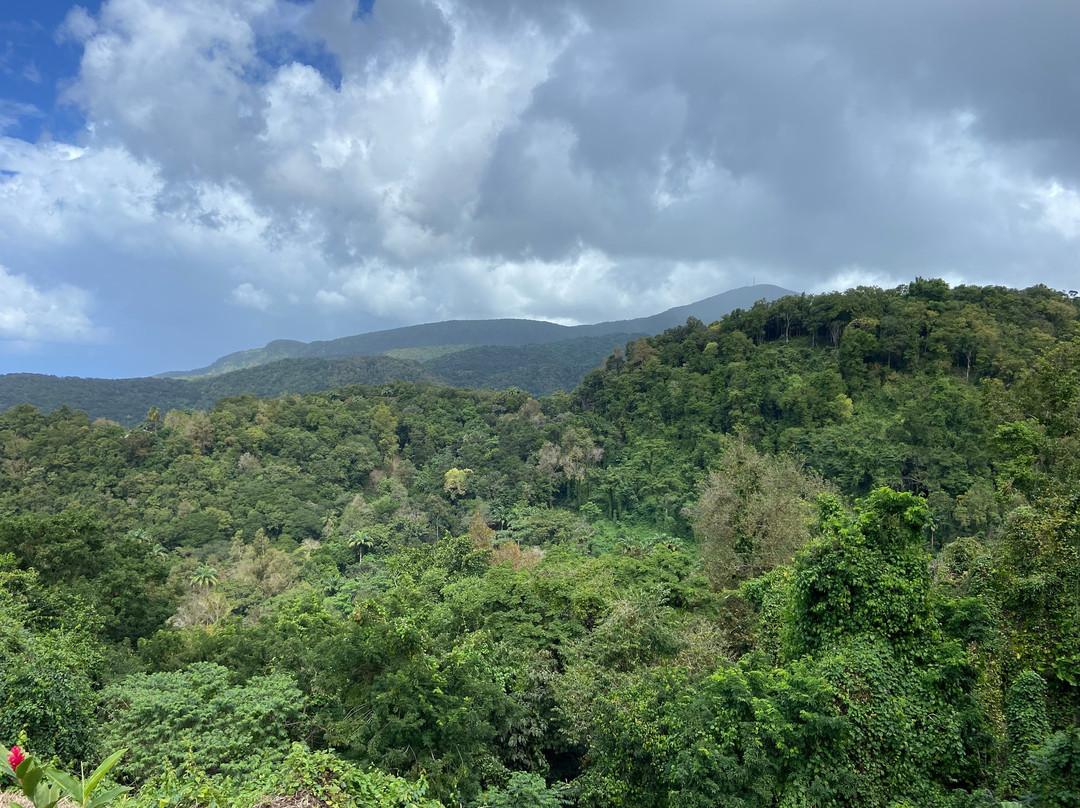 Parc De La Source-Bouillante必去景点