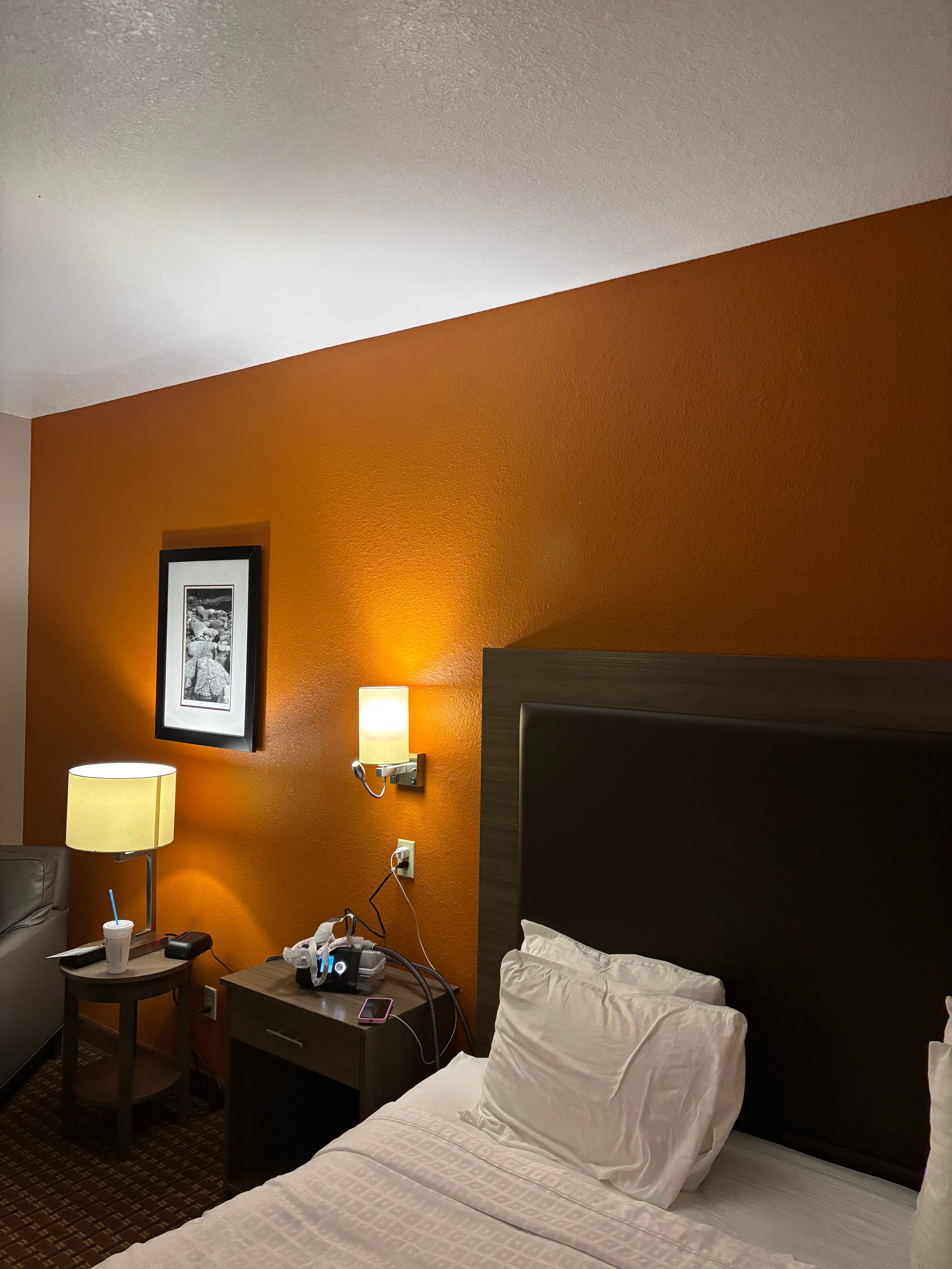 Best Western Plus Circle Inn-客卧