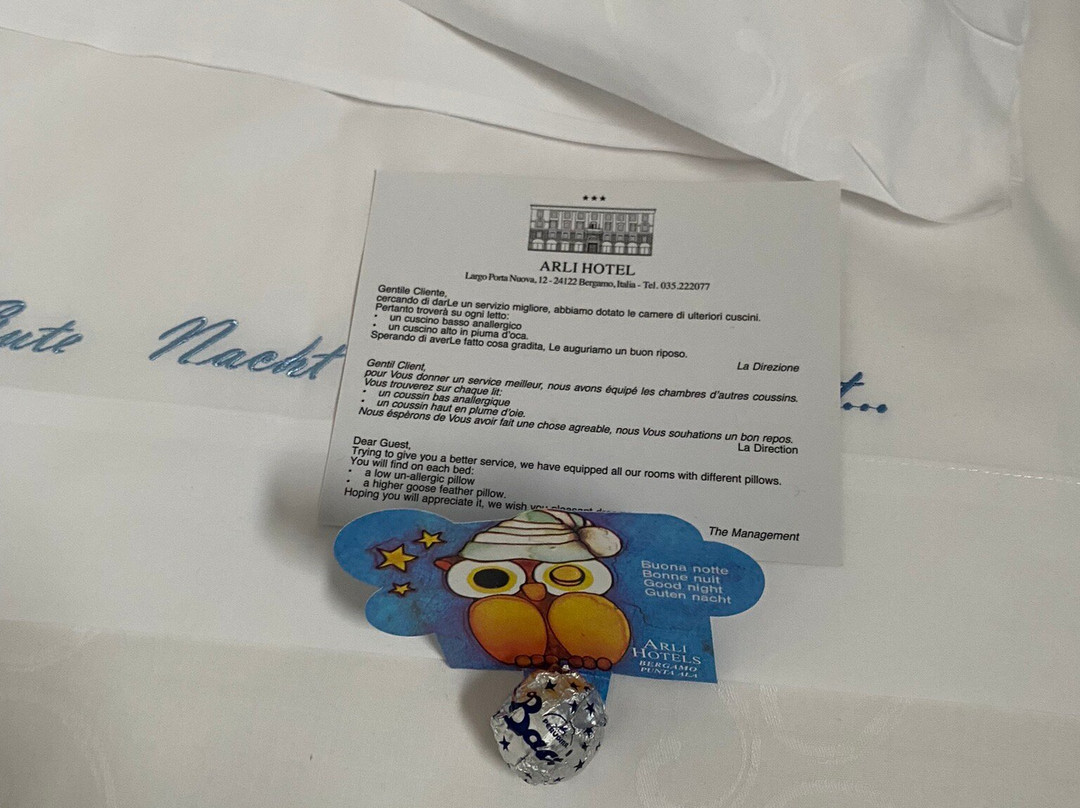 Arli Hotel Business & Wellness主图
