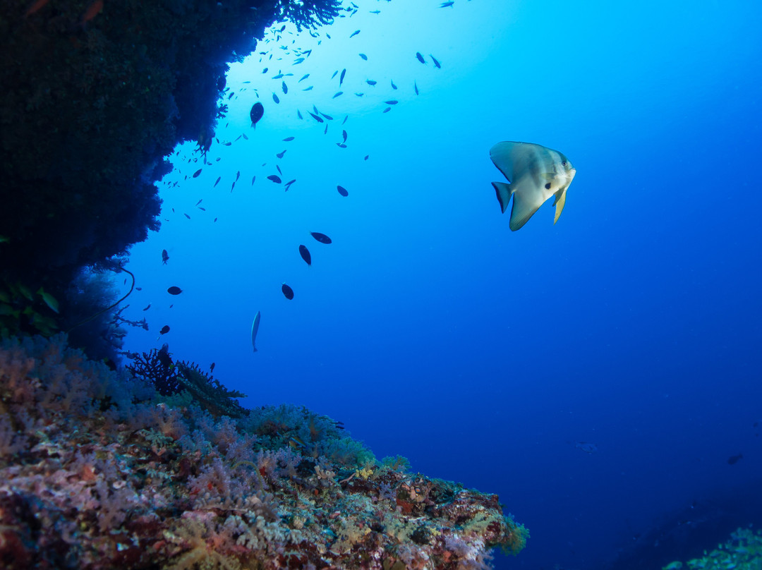 Addu Scuba Dive Maldives