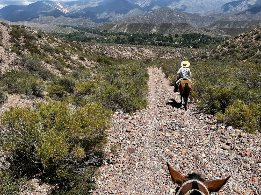Colanguil Adventure & Expeditions-路冉得库约必去景点