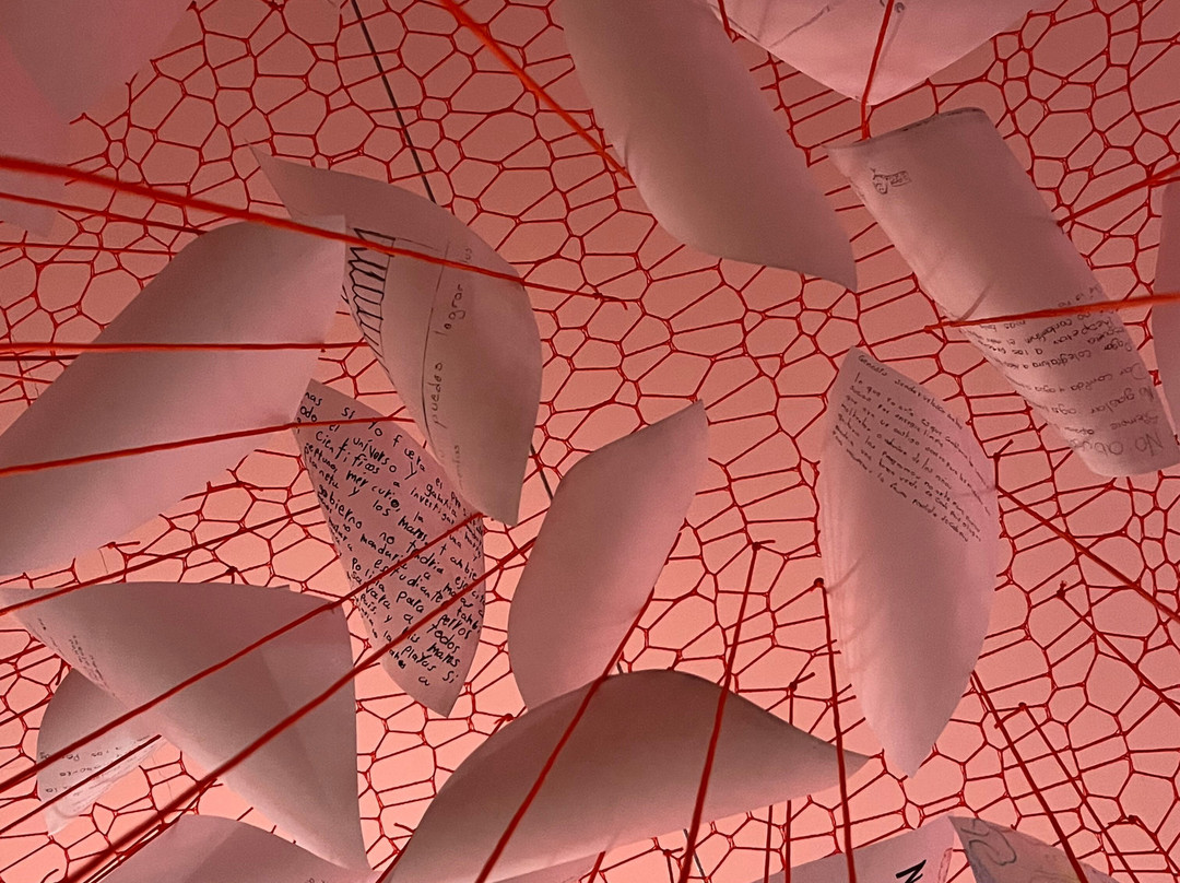 Vidasurf Ecotours-埃斯孔迪多港必去景点