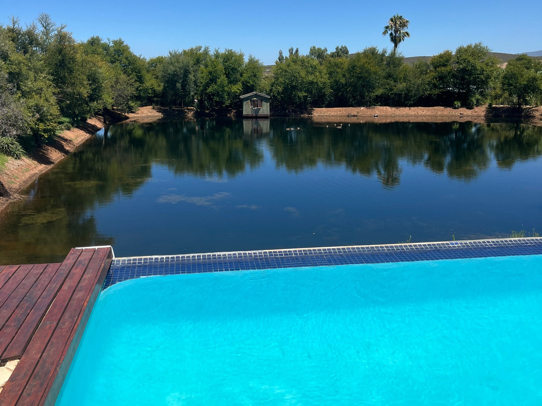 Thelab Robertson主图