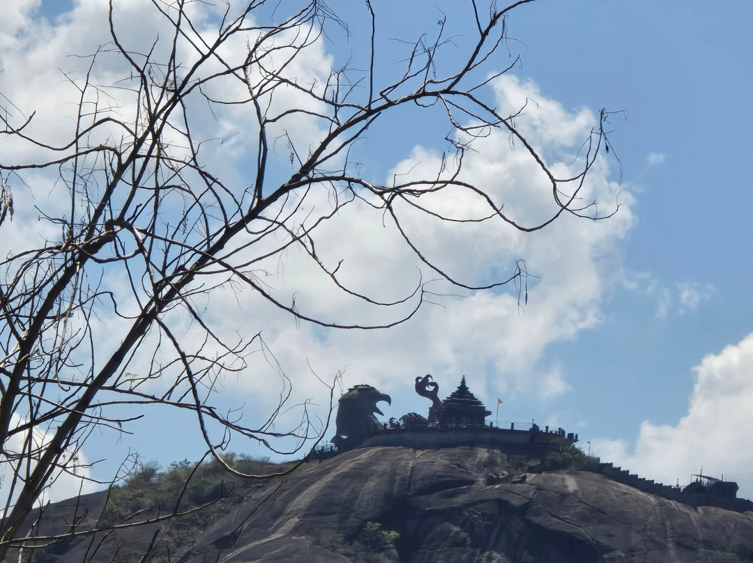 Jatayu Earth's Center景点图片