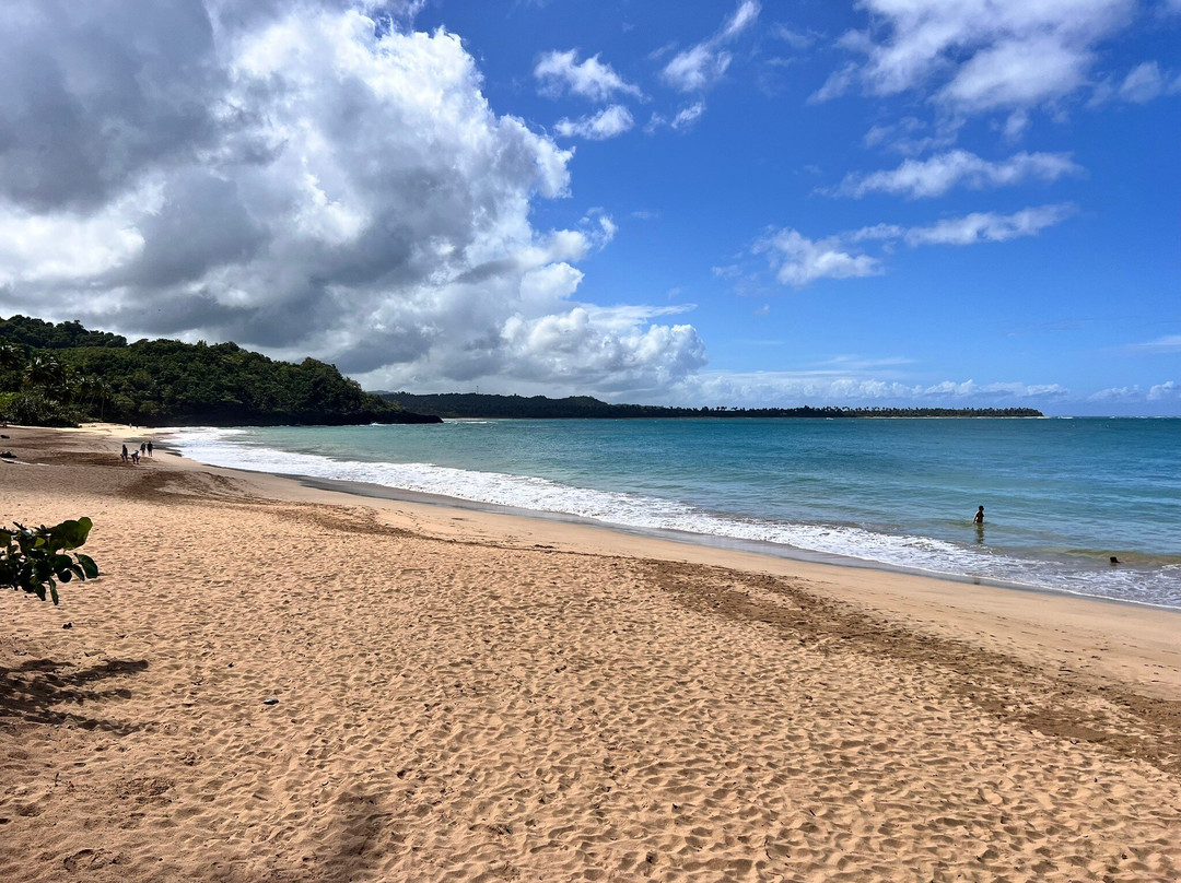 Chaykovsky Boutique hotel主图