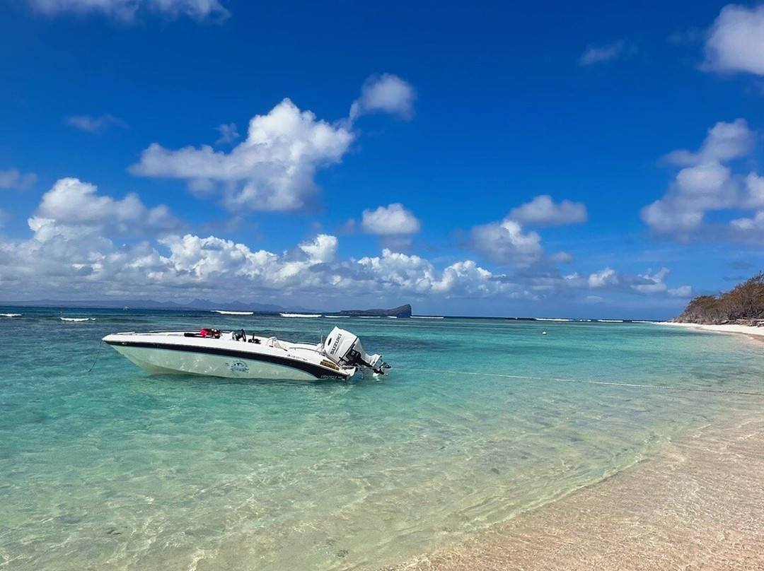 Sea Serenity Excursions景点图片