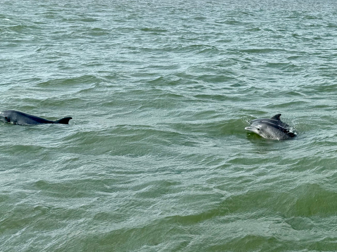 Rockport Birding and Kayak Adventures-罗克波特必去景点