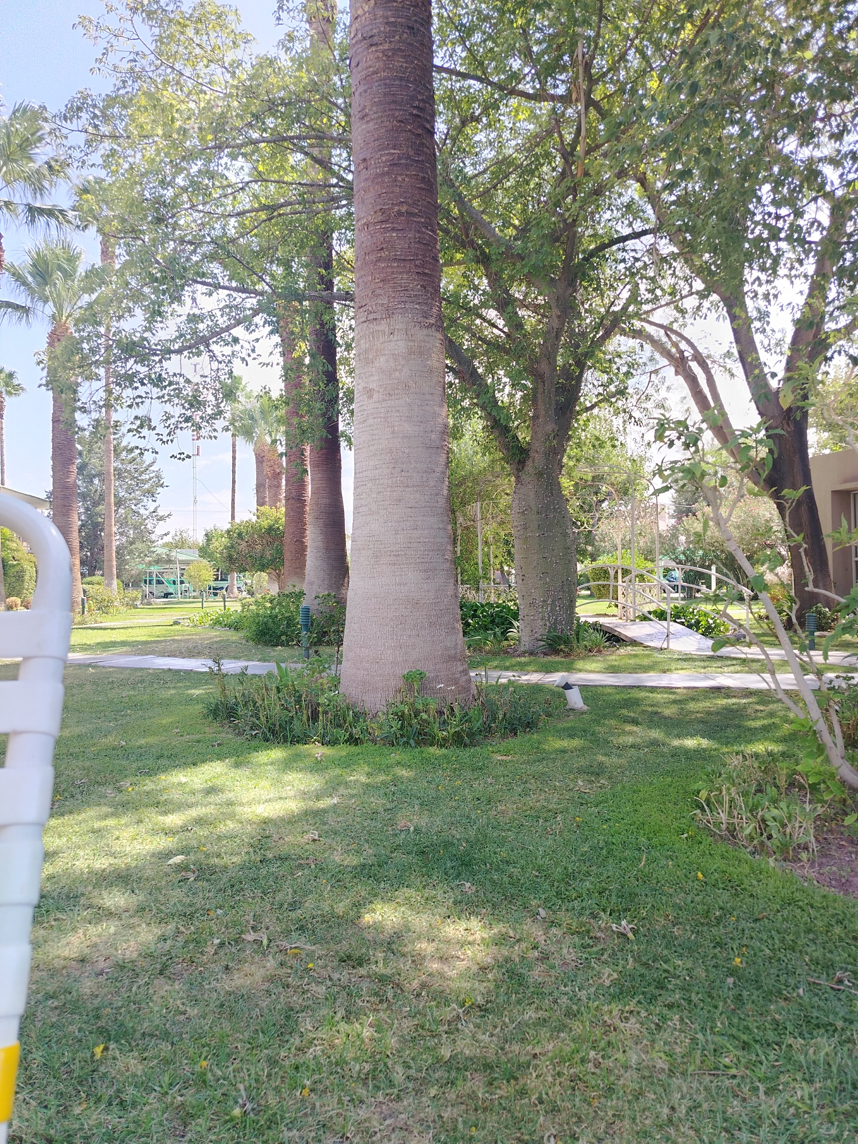 Hotel  Villa Don Tomas-官方