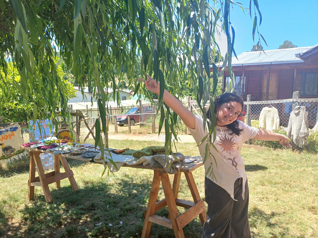 Isla Huapi-Futrono必去景点