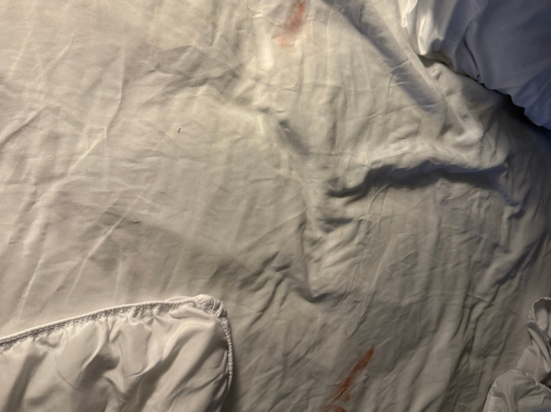 Home2 Suites by Hilton Memphis Wolfchase Galleria主图