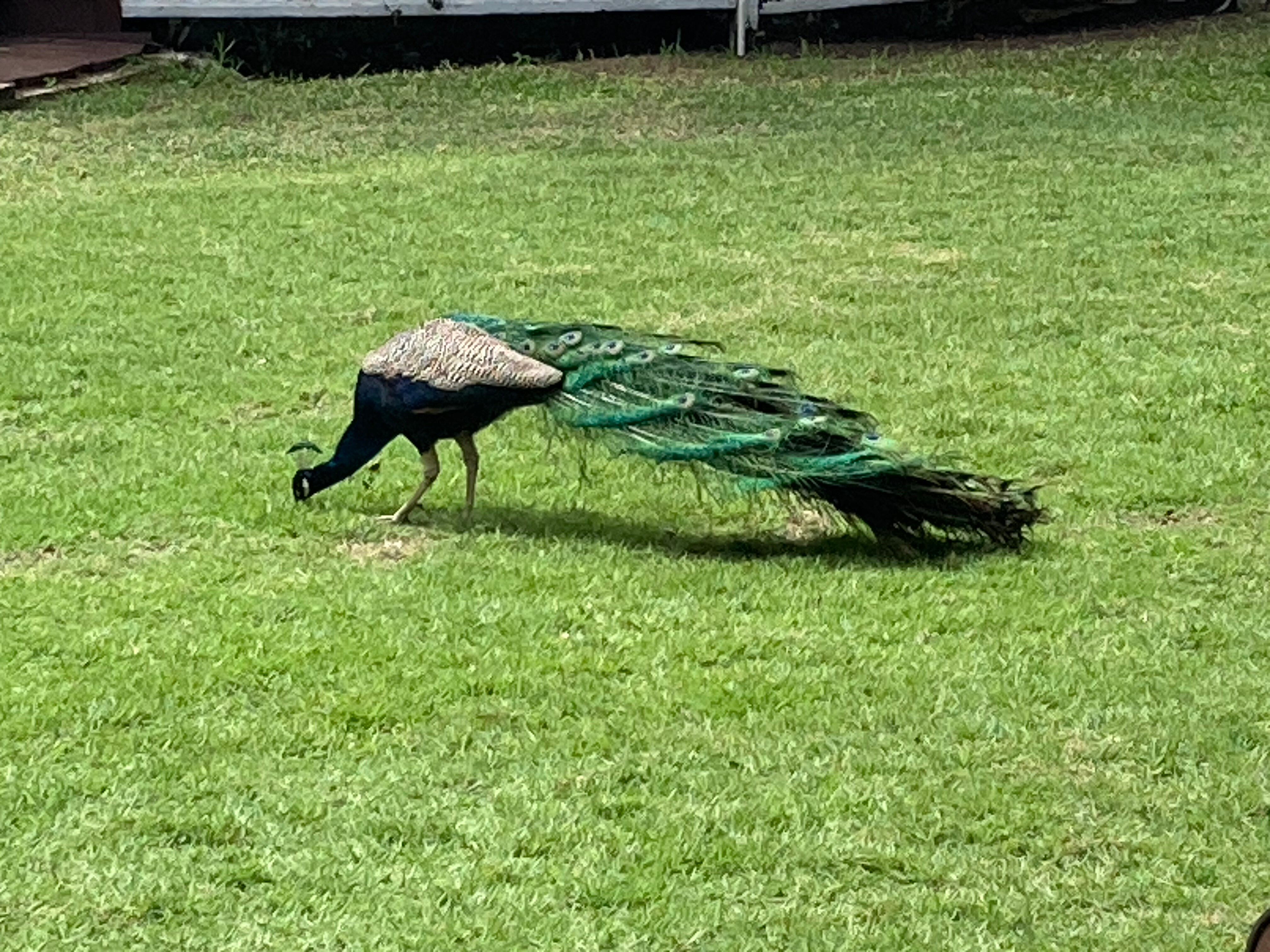 Sweetfield Manor Boutique Hotel-浴室