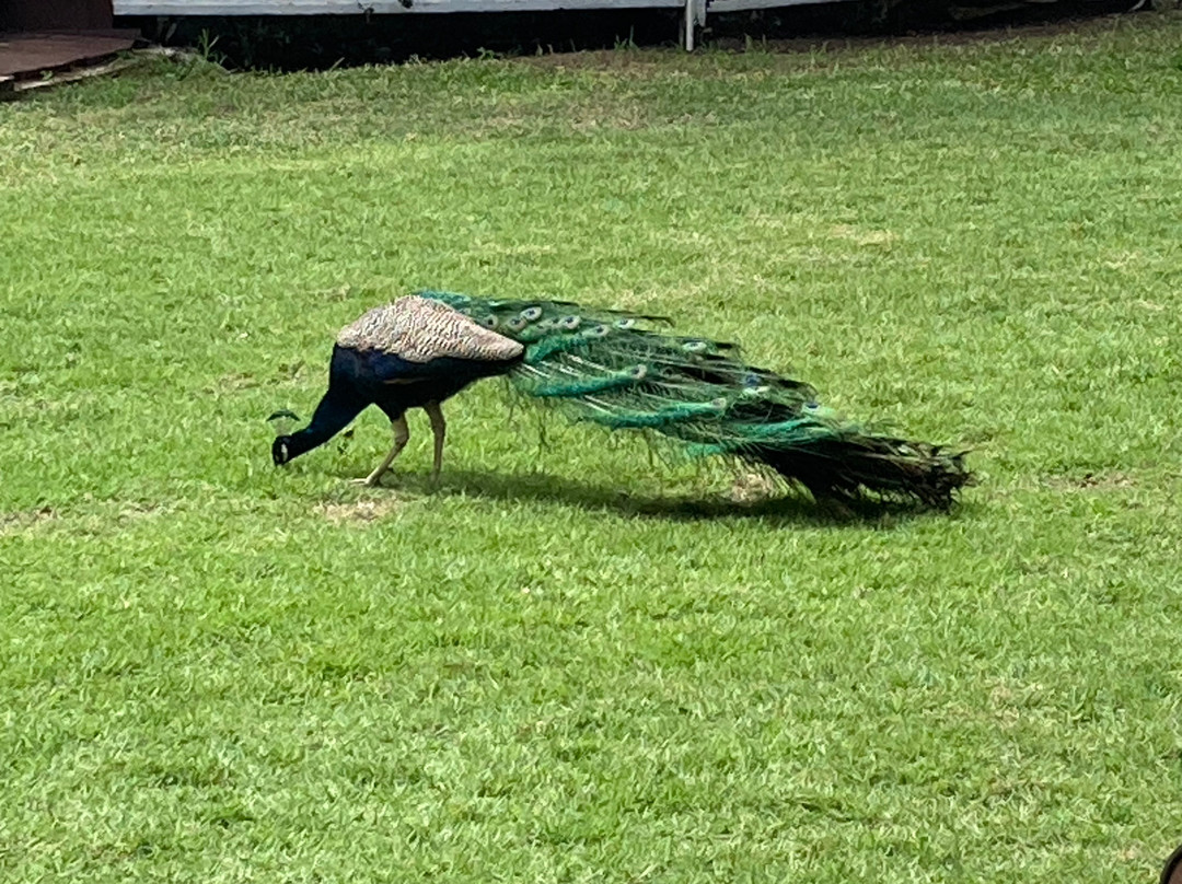 Sweetfield Manor Boutique Hotel主图