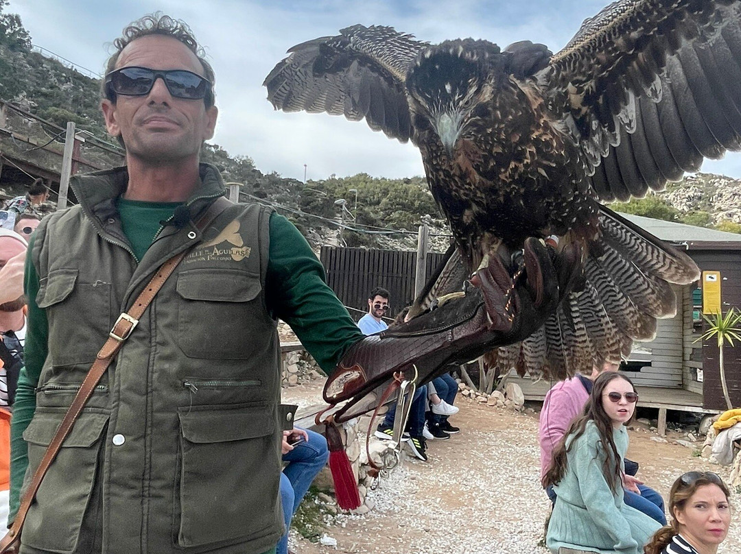 Garden of Eagles (Jardin de Las Aguilas)景点图片