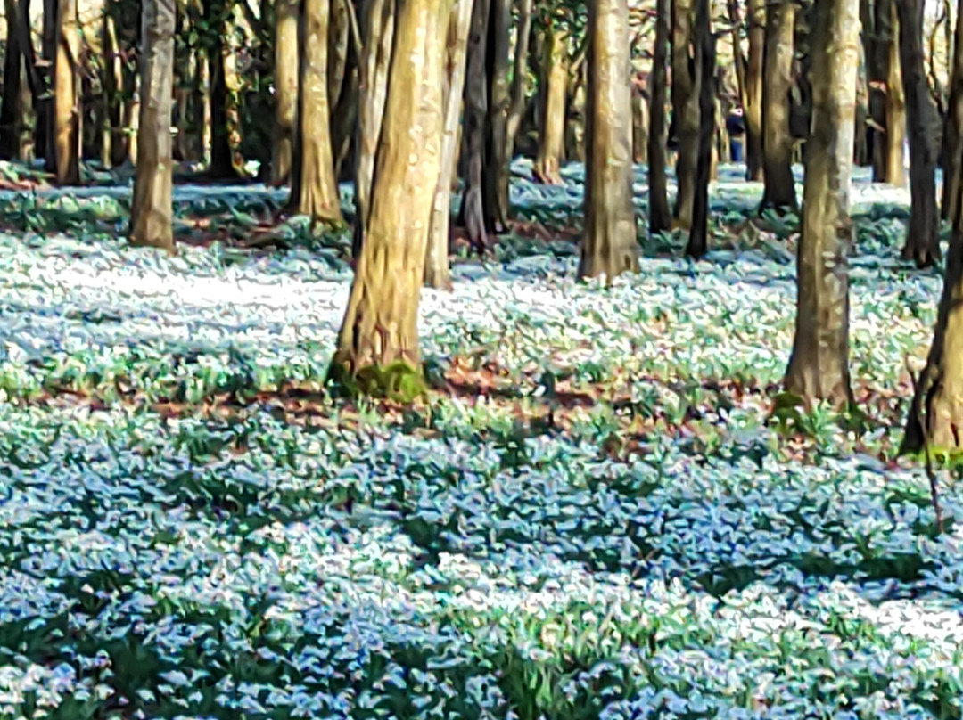 Welford Park-Wickham必去景点