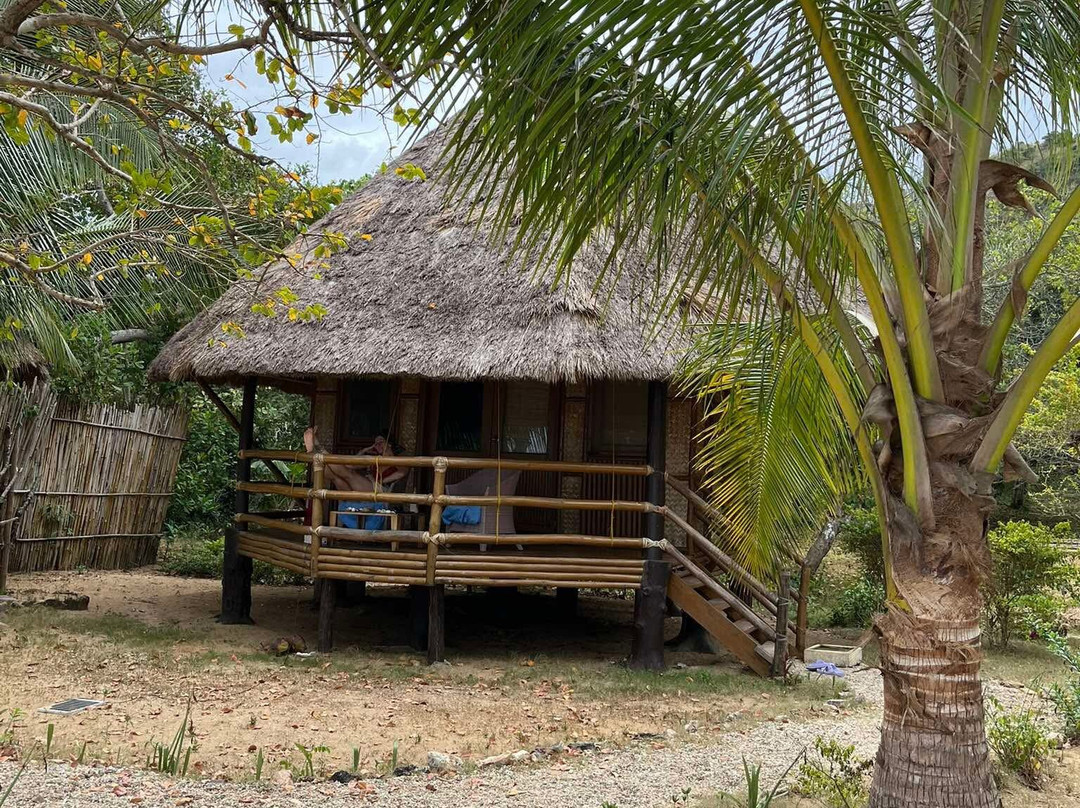 Cashew Grove Beach Resort主图