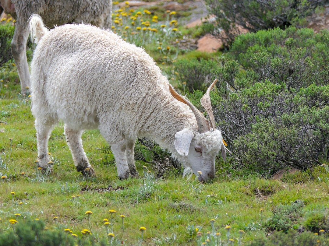 Birds and Beyond-Himeville必去景点